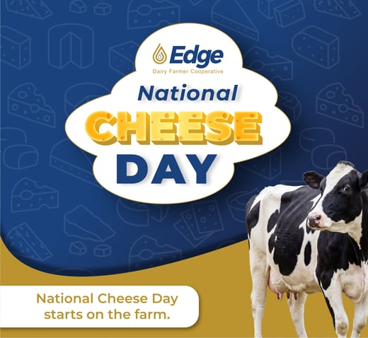2026 National Cheese Day Graphic-04
