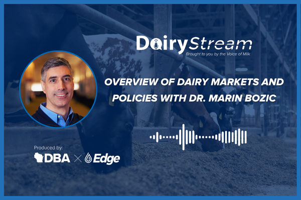 Dairy Stream 4.8.2026 (600 x 400 px)