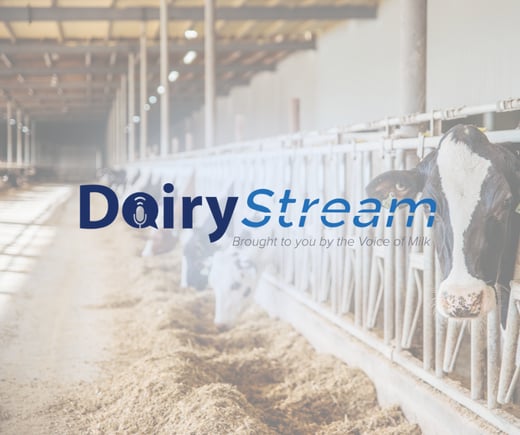 Dairy Stream