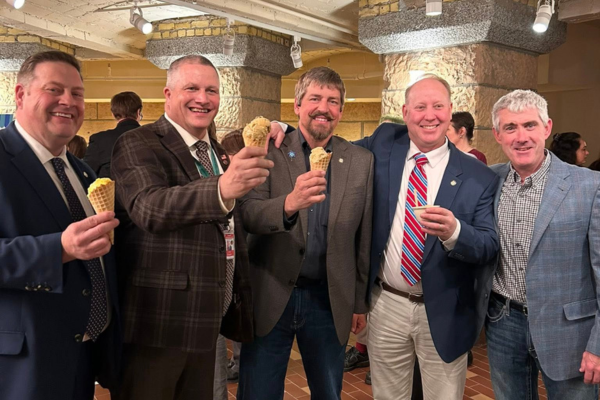 MN Milk ice cream photo