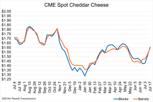 Spot Cheddar Cheese