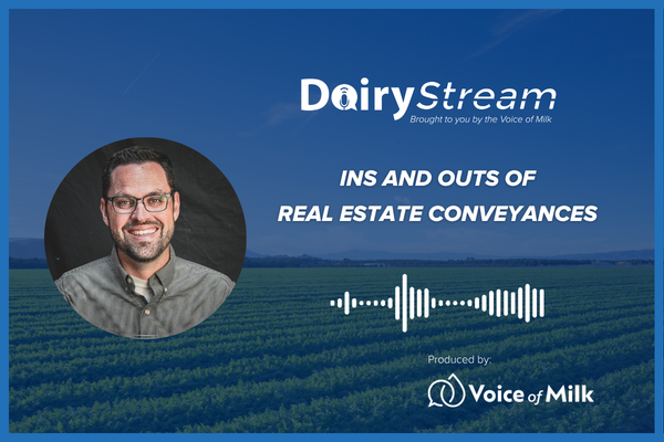 Will McKinely Dairy Stream